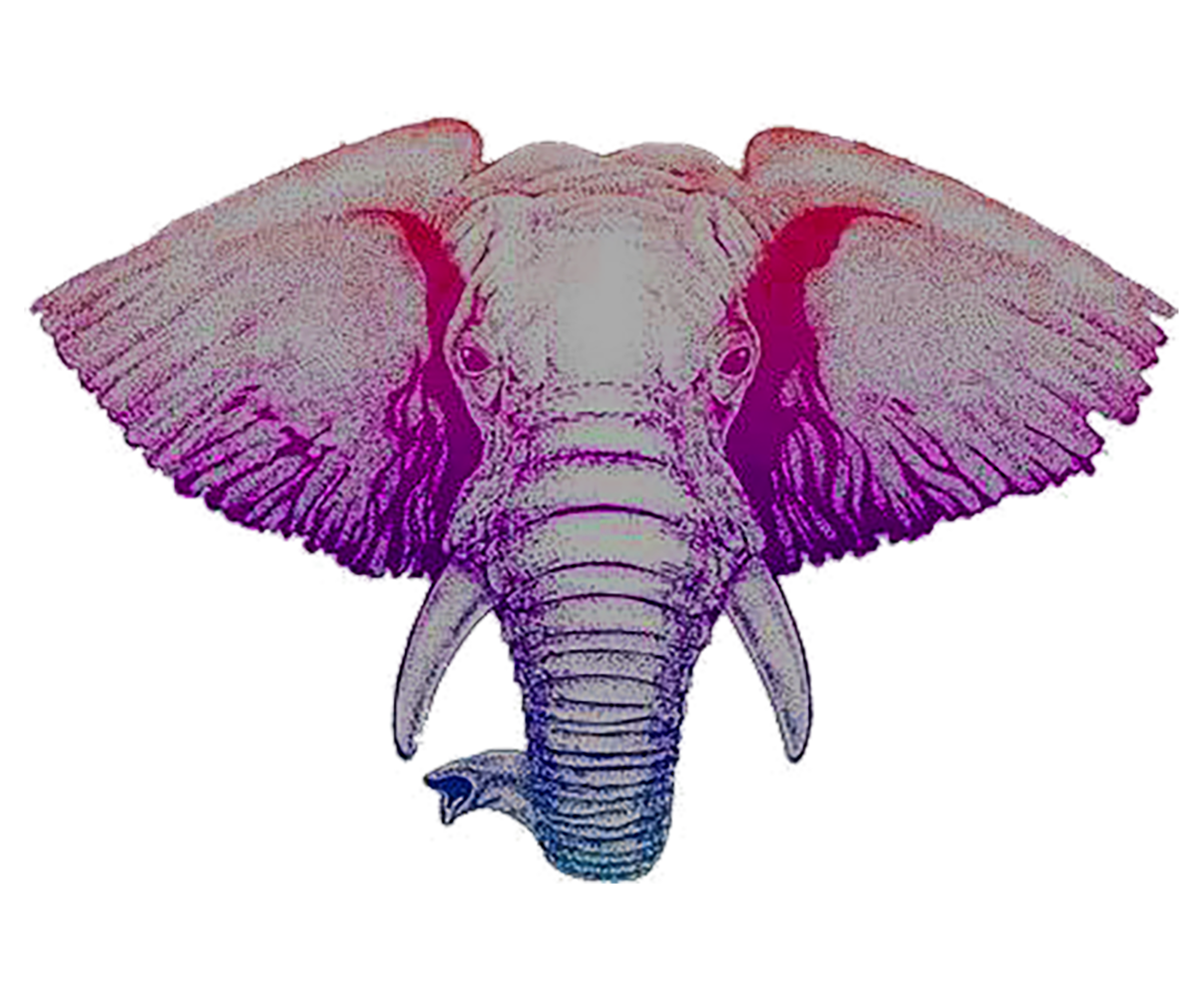 Exotic Elephant LLC