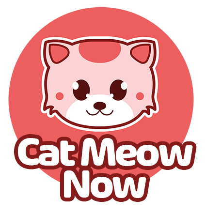 Cat Meow Now