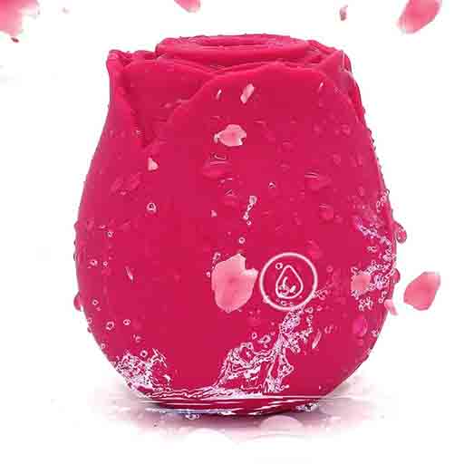 Rose Toy US Official Website