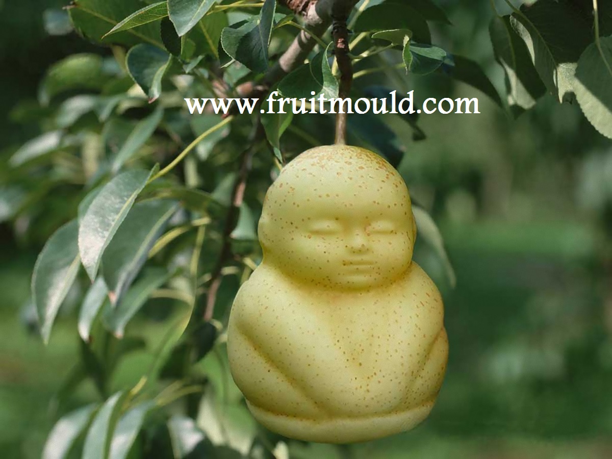 Raddish Kids - Monthly Subscription