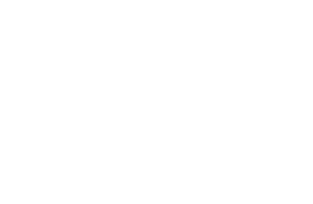 The Rug Company US