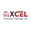 XCEL Solutions