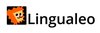 lingualeo.com/ru